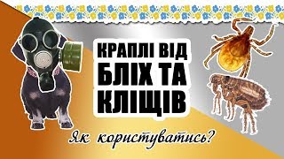 Як обробити собаку від бліх та кліщів  ЦМСС 13 [upl. by Hanahs]