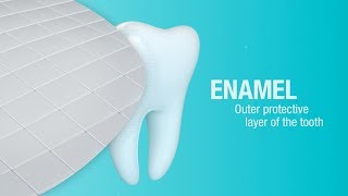 How Does Pronamel® Toothpaste Help Strengthen Enamel  Pronamel® [upl. by Emalee]