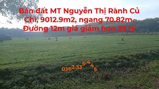 Bán đất MT Nguyễn Thị Rành Củ Chi 9012 9m2 ngang 70 82m Đường 12m giá giảm hơn 25 tỷ [upl. by Akinej]