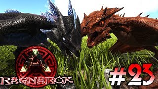 ARK Ragnarok 23  Wyvern Eier ausbrüten Wyvern Milch stehlen amp die Zeit läuft  LP Ark Deutsch [upl. by Ivz]