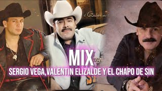 VALENTIN ELIZALDE SERGIO VEGA Y EL CHAPO DE SINALOA PUROS EXITOS MUSICALES Los mejores existos [upl. by Crosse]