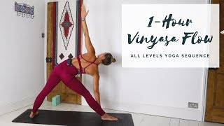 1HOUR VINYASA FLOW  All Levels Yoga Sequence  CAT MEFFAN [upl. by Ahsauqal]