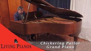 Chickering Parlor Grand Piano Review  LivingPianoscom [upl. by Isolt]