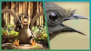 Lyrebird Meets Attenborough ft Aardman Animations Attenborough90  BBC Earth Unplugged [upl. by Belanger]