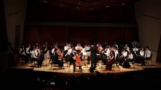 Goltermann Cello Concerto No 5 [upl. by Gardie11]