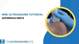 Ultrasound identification of the saphenous nerve on the lower leg [upl. by Leroy894]