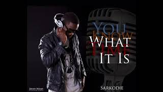 Sarkodie ft Mugeez  Baby [upl. by Ethelinda816]