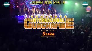 Sueña  Internacional GUACHAMBE ALBUM 2013 VOL3😎 [upl. by Aniahs972]