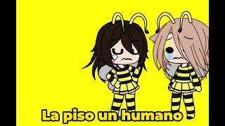 Las abejas se Comunican Bailando Meme [upl. by Flann140]