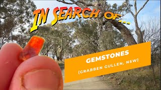 Fossicking for sapphires at Grabben Gullen NSW [upl. by Birgit]