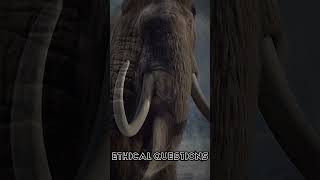 How close are we to cloning Woolly Mammoths [upl. by Dannica]