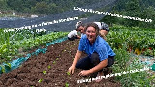 LIVING AND WORKING ON AN ORGANIC FARM IN ITALY WWOOF [upl. by Ericksen]