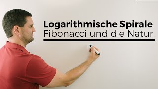 Logarithmische Spirale Fibonacci und die Natur Mathematik im Alltag Mathe by Daniel Jung [upl. by Nnaerb192]