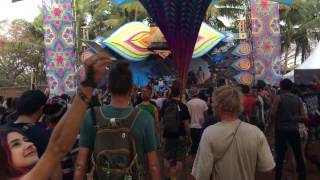 Hilltop Festival 2017  Shiva Tree live [upl. by Ainahtan]