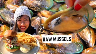 Eating RAW MUSSELS  New Zealands OLDEST pub South Island New Zealand  New Zealand FOOD TOUR [upl. by Asseniv202]