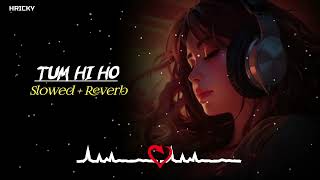 Tum Hi Ho  Slowed  Reverb Song  Lofi Song  Hindi Sad Song  Aashiqui 2  Arijit Singh  RH LOFI [upl. by Albur623]