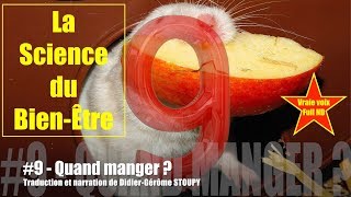 9 Quand manger  LA SCIENCE DU BIEN ÊTRE Vraie voix Full HD WattlesStoupy [upl. by Adnahcal]