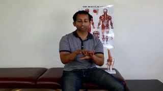 All About Quadriceps Tendonitis And How To Treat It Holistically  Manu Kalia  Video 140 [upl. by Nahama106]