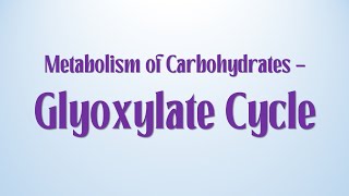 Glyoxylate cycle  Crop physiology  Plant biochemistry  doctoragriculture [upl. by Brownley309]