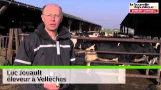 VIDEO Vellèches un éleveur soigne ses vaches avec des huil [upl. by Cordell782]