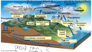 Respiration in Plants Class 11 one shot NCERT  All Concept amp PYQS  Ritu Rattewal  NEET Biology [upl. by Aynek]