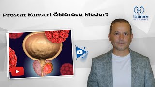 Prostat Kanseri Öldürücü Müdür  Prostat Kanseri Öldürür Mü  Prof Dr Abdullah Armağan [upl. by Shawnee]