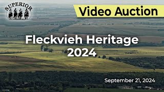 Fleckvieh Heritage 2024 [upl. by Willi]