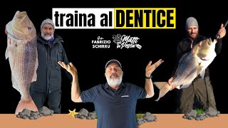 TRAINA DENTICE Tecnica Montature Consigli e Attrezzatura [upl. by Hterag]