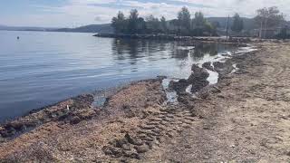 Forte odeur dalgues sur la plage de Ferrières à Martigues [upl. by Zara531]