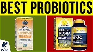 10 Best Probiotics 2019 [upl. by Niboc]