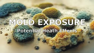 Mold Exposure and Potential Health Effects [upl. by Ayitahs]