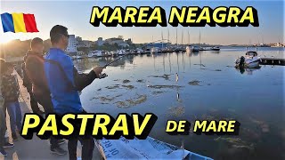 Pastrav de mare in Marea Neagra  EPISODUL 103 [upl. by Oren]