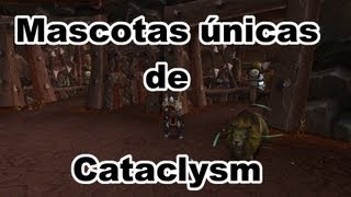 Mascotas de cazador 13 Mascotas únicas en Cataclysm [upl. by Colston]