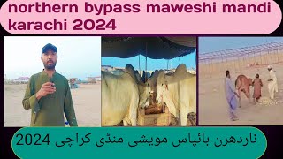 Maweshi Mandi in northern bypass karachi 😀😍💕💕 [upl. by Glanville]