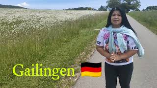 Gailingen Germanyvlog myswitzerland wineyard highlights mountains travel [upl. by Adihaj]