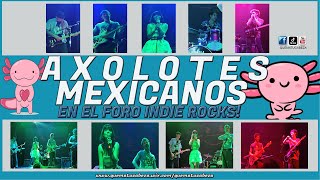 AXOLOTES MEXICANOS EN EL FORO INDIE ROCKS RECITAL COMPLETO [upl. by Allred474]