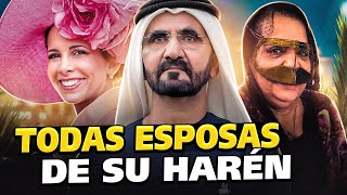 ¿Por qué las esposas del jeque Mohammed odian a su rico marido [upl. by Taddeo]