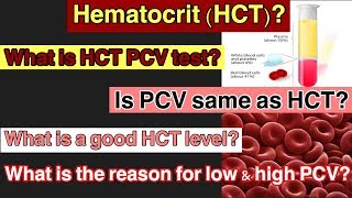 What is PCV HCT testHematocrit HCT  What is the Reasons of highamplow HCT PCV urduhindi [upl. by Klein]