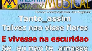 Se eu nao te amasse tanto assim Ivete Sangalo Karaoke [upl. by Neerod]