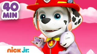 Patrulha Canina  40 MINUTOS da Patrulha Canina salvando animais superfofos  Nick Jr em Português [upl. by Amyas624]