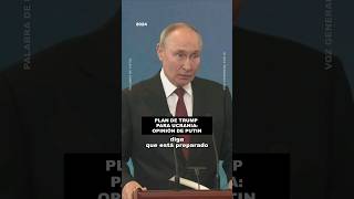 Putin comenta el plan de paz de Trump ¿detener combates en Ucrania en 24 horasrusia putin trump [upl. by Lowndes]