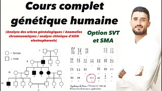 Cours complet la génétique humaine  arbre généalogique  anomalies chromosomiques  Électrophorèse [upl. by Farrison]