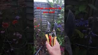 What secateurs do you use [upl. by Jurdi]