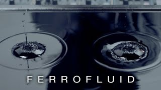 Cymatics Ferrofluid [upl. by Nehgam201]