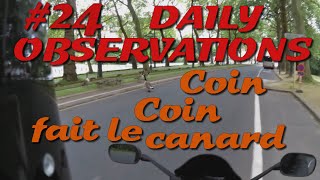 24 Daily Observations  Coin coin fait le canard [upl. by Korney]