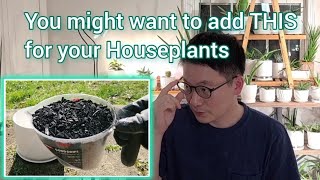 How to use Horticultural Charcoal for Houseplants [upl. by Ailiec568]