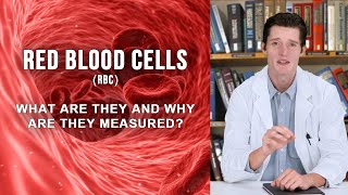 RED BLOOD CELLS RBC  what are they and why are they measured [upl. by Daigle]