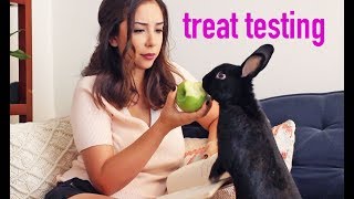 Treat Testing Rabbits Detecting Illness [upl. by Namrak]