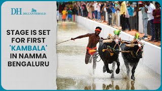 Bengaluru are you ready for Kambala this weekend  Heres all the info you need [upl. by Ahcarb]