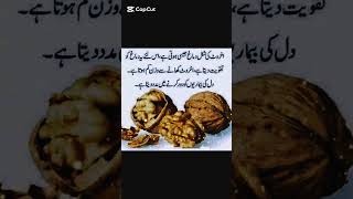 Akhrot Khane Ke Fayde  Benefits Of Eating Walnuts Daily  Akhrot Ke Fawaid walnut akhrot [upl. by Raimund]